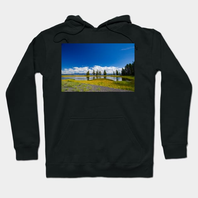 Peaceful Shoreline, Lake Yellowstone Hoodie by BrianPShaw